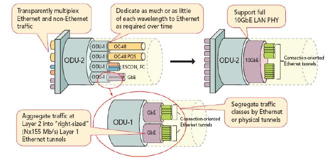 客戶側匯集的各種協議使得OTN成為高性價比通用基本結構