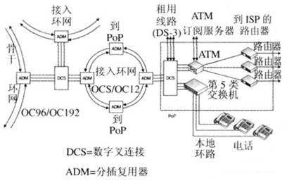 SONFF光網絡環和載波PoP