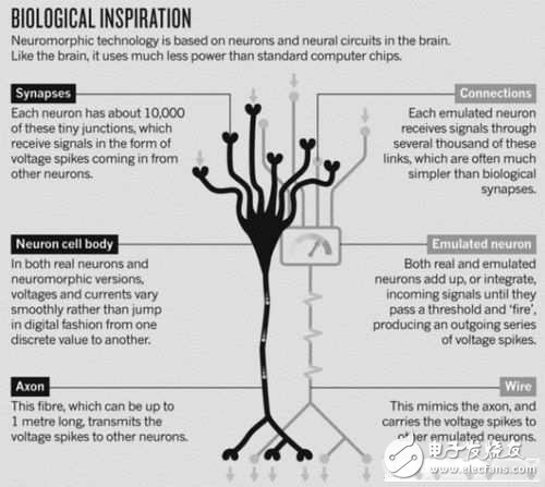 神經形態芯片市場即將起飛