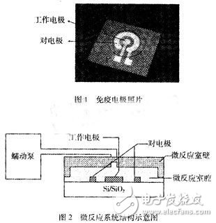 基于免疫微傳感器的微流體系統