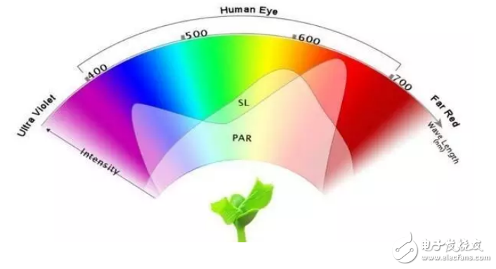 LED植物生長燈的色溫與流明及光譜范圍對(duì)植物生理的影響介紹