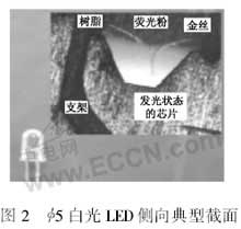 φ5白光LED側向典型截面